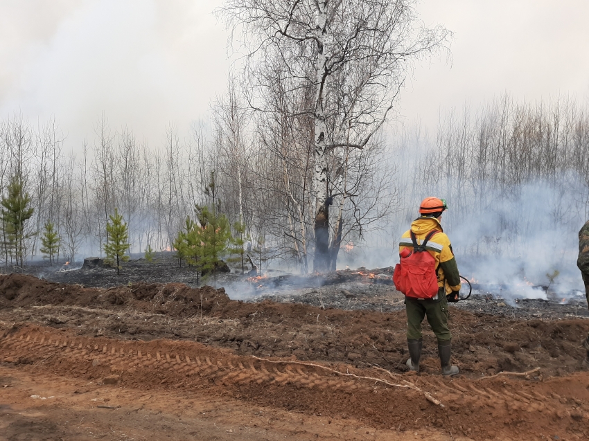 Лесопожарные формирования продолжают борьбу с лесным пожаром в районе Беклемишево